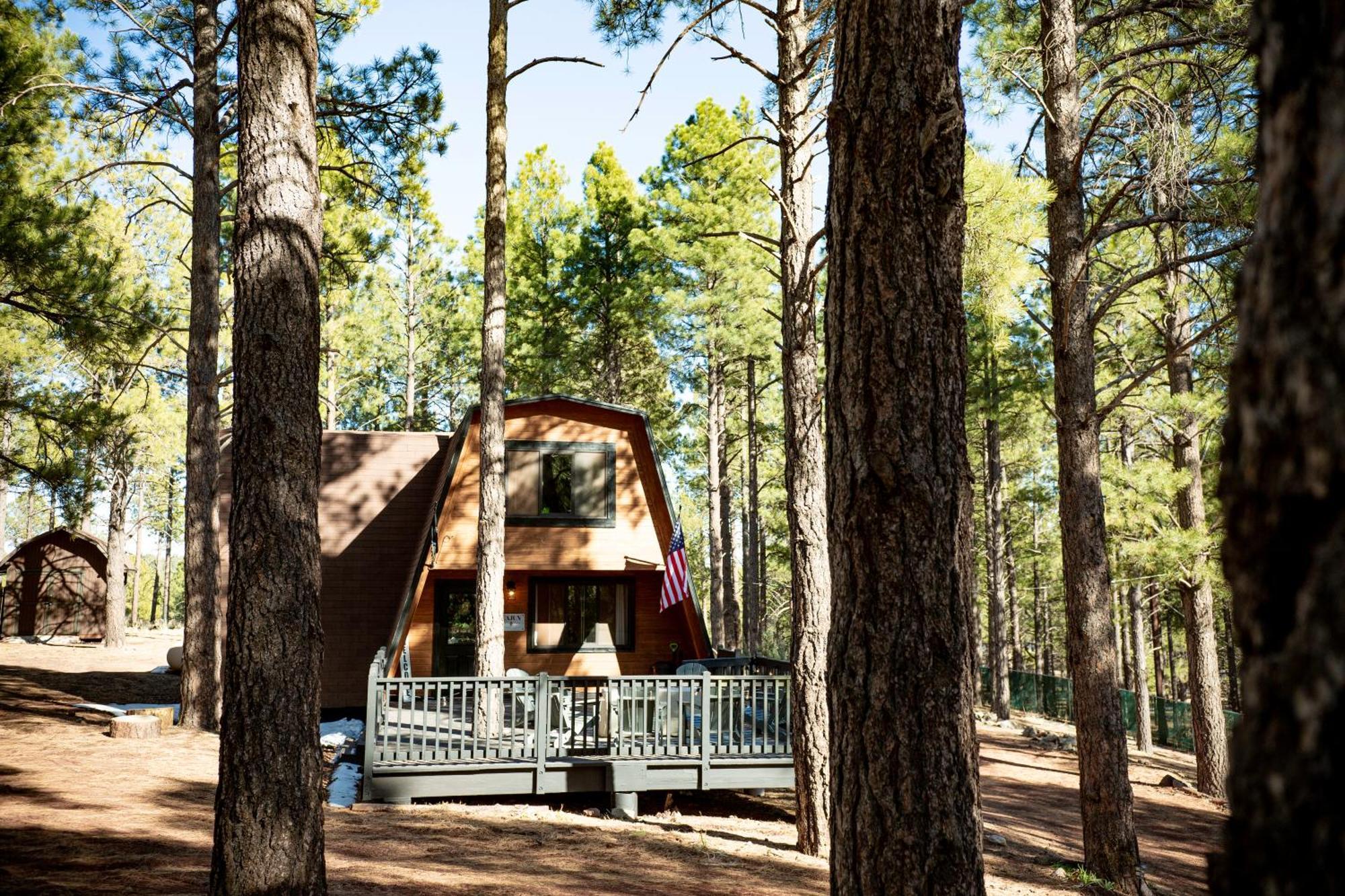 Grand Canyon Cabin! One Hour And 10 Minutes To The South Entrance! ウィリアムズ エクステリア 写真