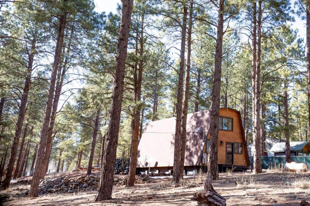 Grand Canyon Cabin! One Hour And 10 Minutes To The South Entrance! ウィリアムズ エクステリア 写真