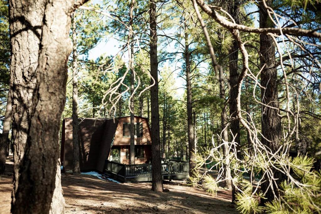 Grand Canyon Cabin! One Hour And 10 Minutes To The South Entrance! ウィリアムズ エクステリア 写真