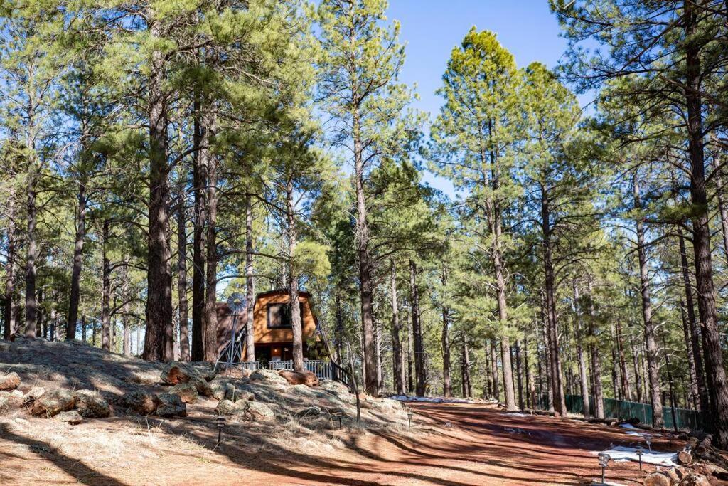 Grand Canyon Cabin! One Hour And 10 Minutes To The South Entrance! ウィリアムズ エクステリア 写真