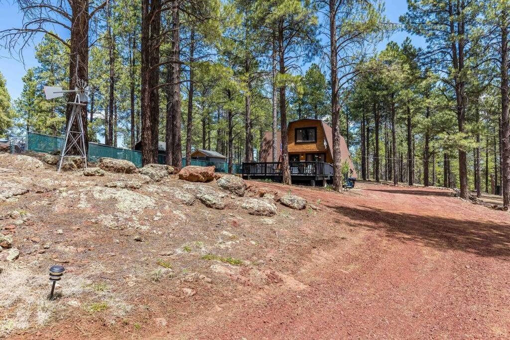 Grand Canyon Cabin! One Hour And 10 Minutes To The South Entrance! ウィリアムズ エクステリア 写真
