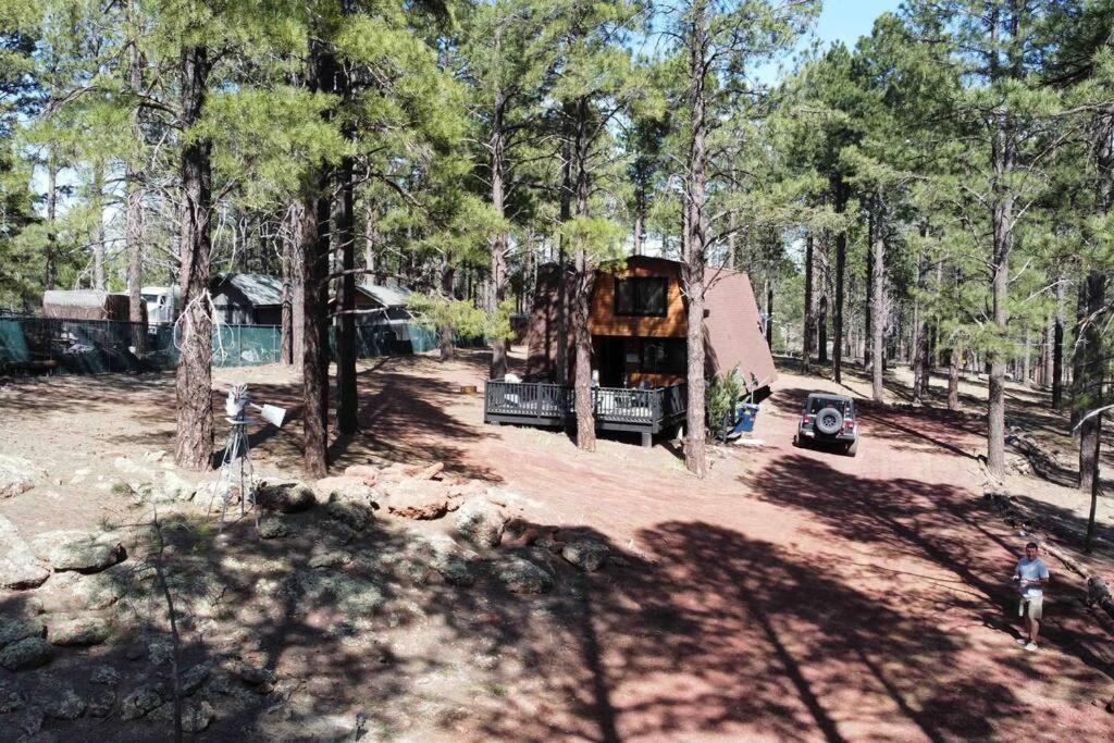 Grand Canyon Cabin! One Hour And 10 Minutes To The South Entrance! ウィリアムズ エクステリア 写真
