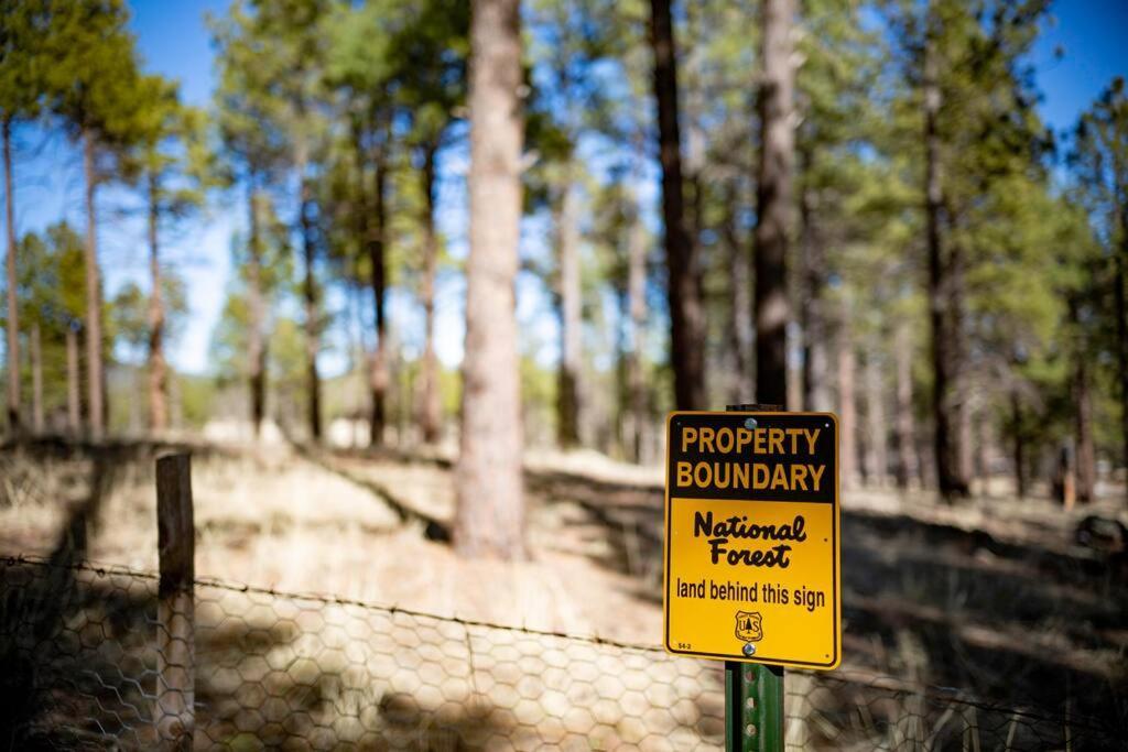 Grand Canyon Cabin! One Hour And 10 Minutes To The South Entrance! ウィリアムズ エクステリア 写真